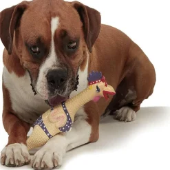 Outward Hound Squawkers Henrietta Latex Rubber Chicken Interactive Toy For Dog (Large)