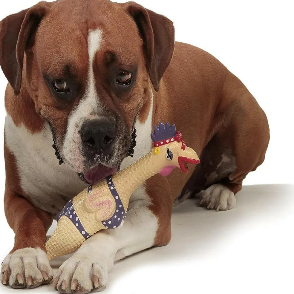 Outward Hound Squawkers Henrietta Latex Rubber Chicken Interactive Toy For Dog (Large)