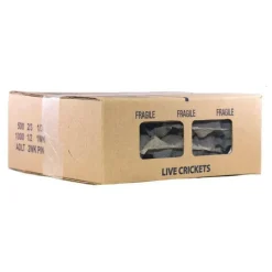 Ovipost Banded Adult Live Feed Crickets Reptile Food, Pinheads