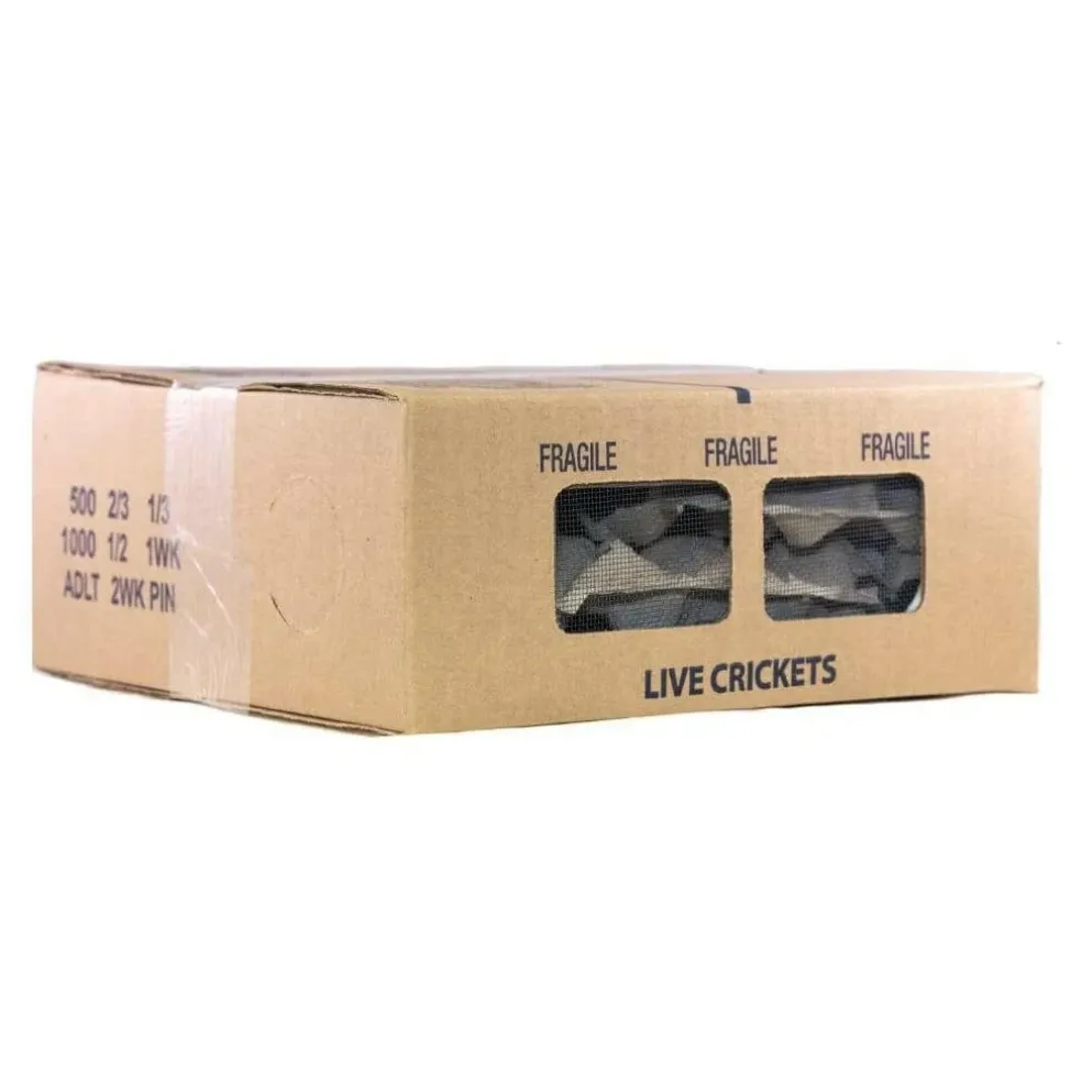 Ovipost Banded Adult Live Feed Crickets Reptile Food, X-Small, 1/8"