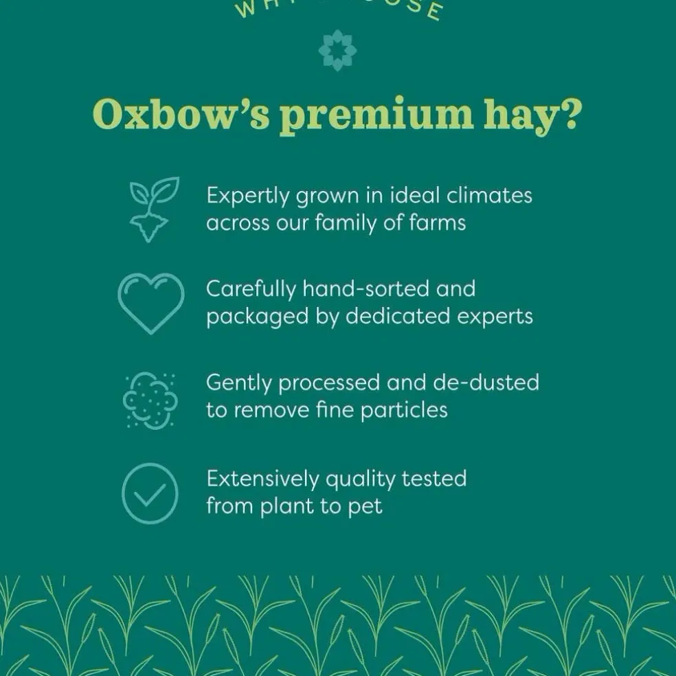 Oxbow Animal Health Botanical Hay (15 oz)