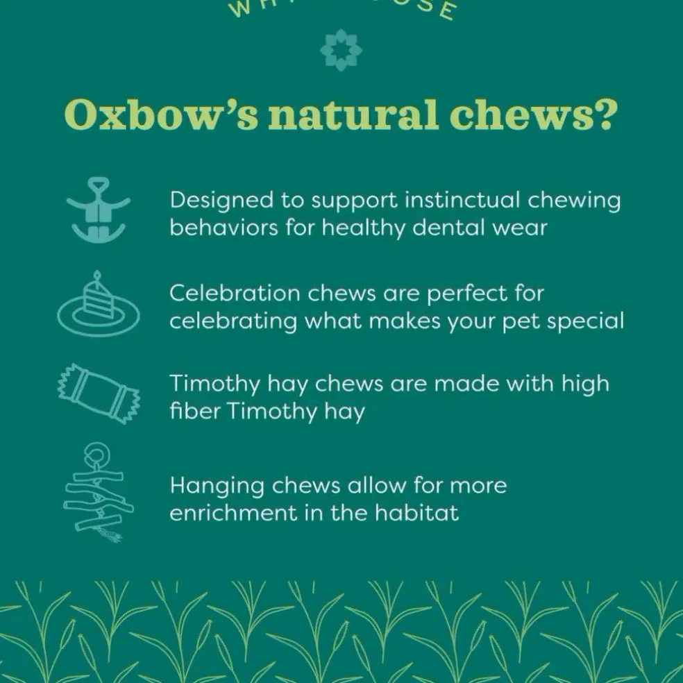 Oxbow Animal Health Enriched Life Color Kabob Small Animal Toy