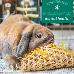 Oxbow Animal Health Enriched Life Timothy Waffle Small Animal Chew Toy