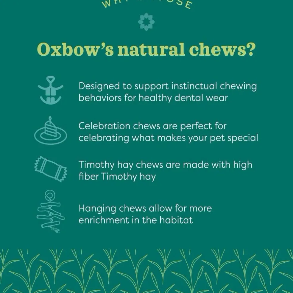 Oxbow Animal Health Enriched Life Timothy Waffle Small Animal Chew Toy