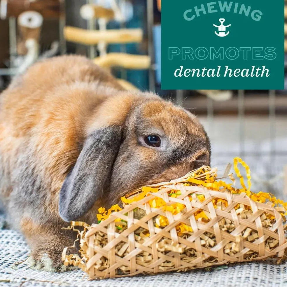 Oxbow Animal Health Enriched Life Apple Stick Bouquet Small Animal Chew Toy