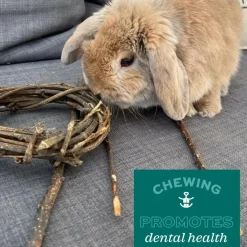 Oxbow Animal Health Enriched Life Apple Stick Bouquet Small Animal Chew Toy