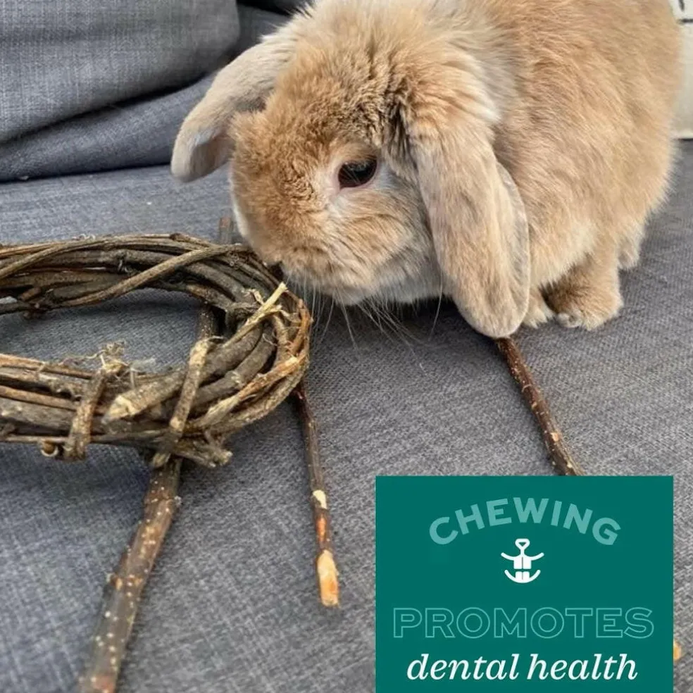 Oxbow Animal Health Enriched Life Apple Stick Bouquet Small Animal Chew Toy