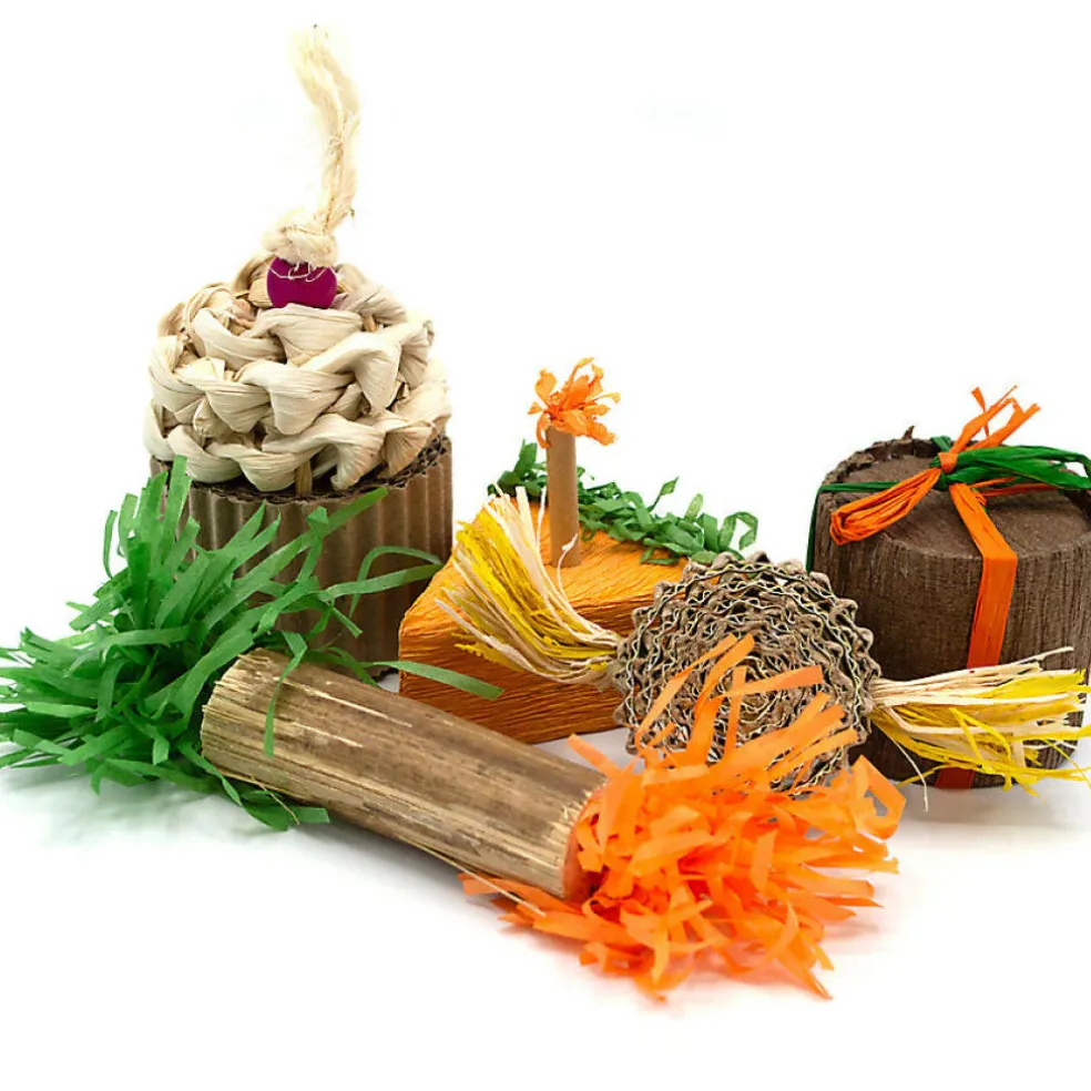 Oxbow Animal Health Enriched Life Birthday Party Pack Small Animal Chew Toys