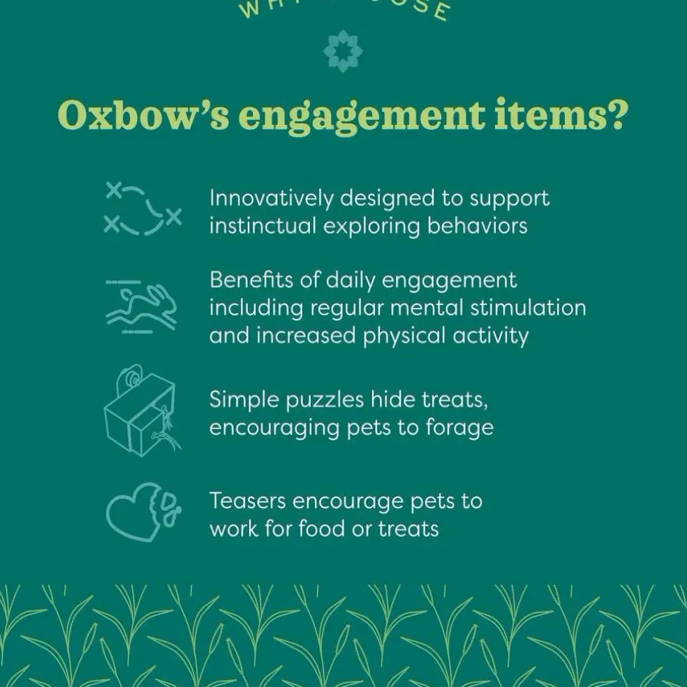 Oxbow Animal Health Enriched Life Color Play Dangly Small Animal Toy
