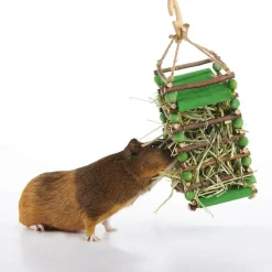 Oxbow Animal Health Enriched Life Apple Stick Hay Feeder for Small Animals