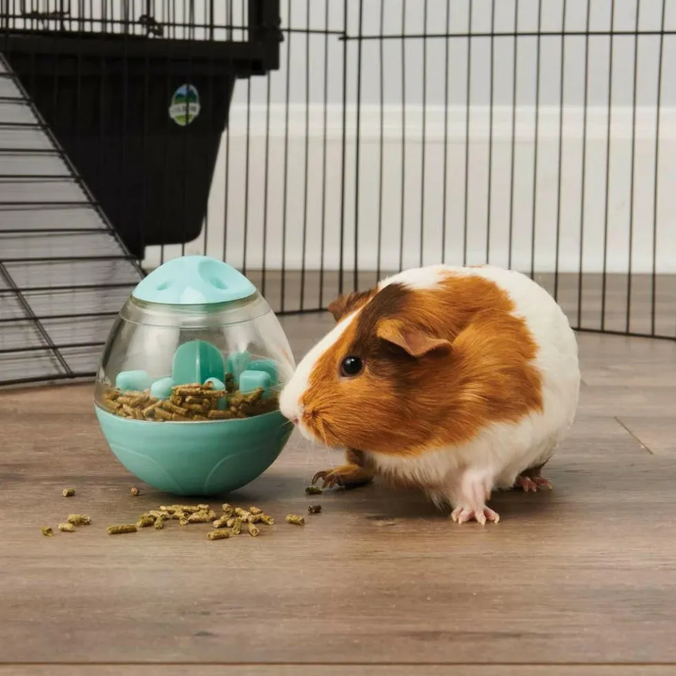 Oxbow Animal Health Enriched Life Wobble Teaser Small Animal Toy