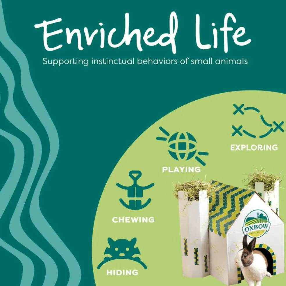 Oxbow Animal Health Enriched Life Wobble Teaser Small Animal Toy