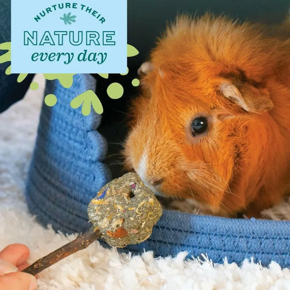 Oxbow Animal Health Enriched Life Timothy Flowers Small Animal Chew Toy