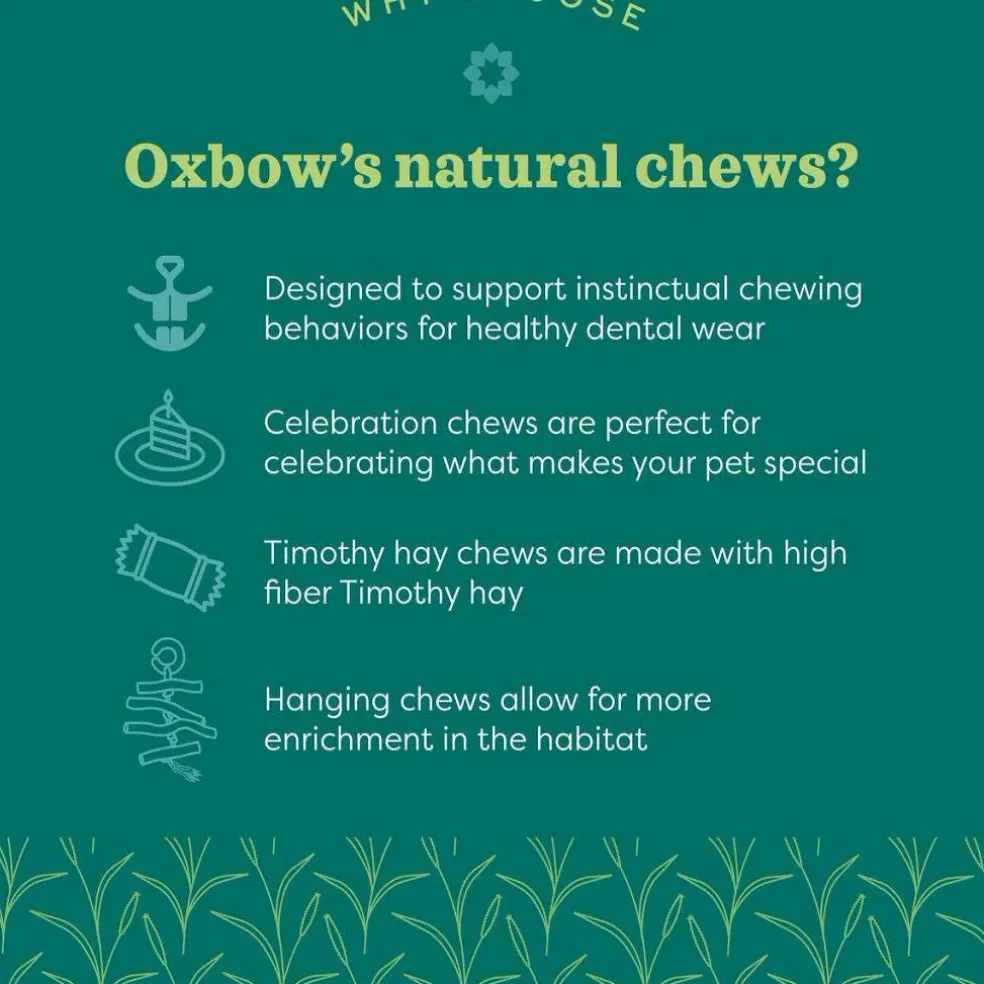 Oxbow Animal Health Enriched Life Timothy Apple Slice Small Animal Chew Toy
