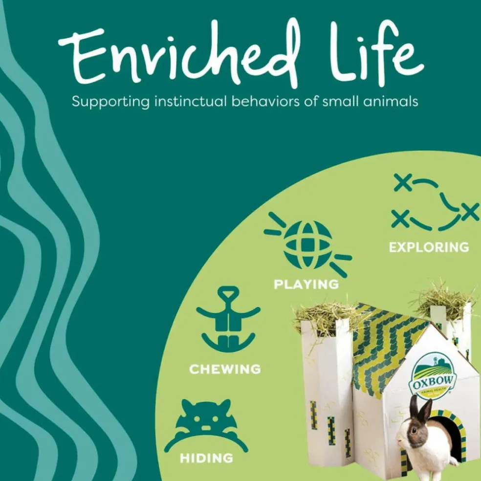 Oxbow Animal Health Enriched Life Hide Box Hanger Small Animal Chew Toy