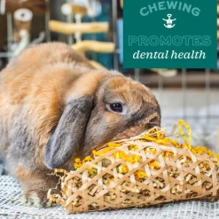 Oxbow Animal Health Enriched Life Hanging Mulberry Chew Small Animal Chew Toy