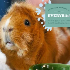 Oxbow Animal Health Essentials Young Guinea Pig Food