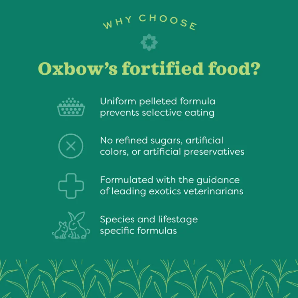 Oxbow Animal Health Essentials Chinchilla Food