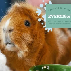 Oxbow Animal Health Essentials Senior Guinea Pig Food