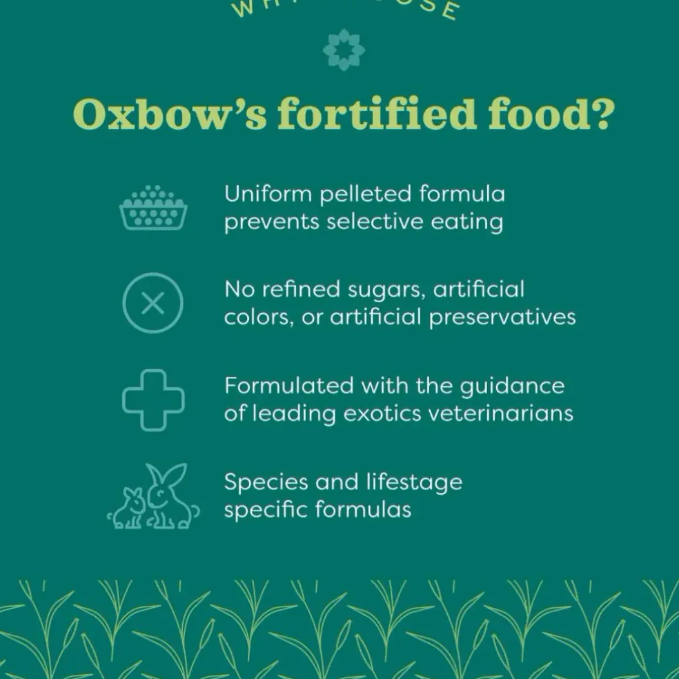 Oxbow Animal Health Garden Select Young Guinea Pig Food (4 lb)