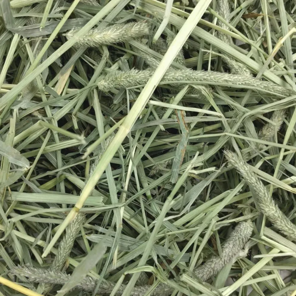 Oxbow Animal Health Harvest Stacks Western Timothy Hay (35 oz)