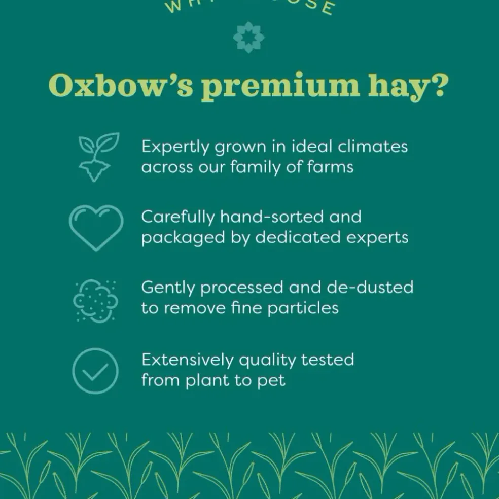Oxbow Animal Health Hay Blends Western Timothy & Orchard Grass Hay