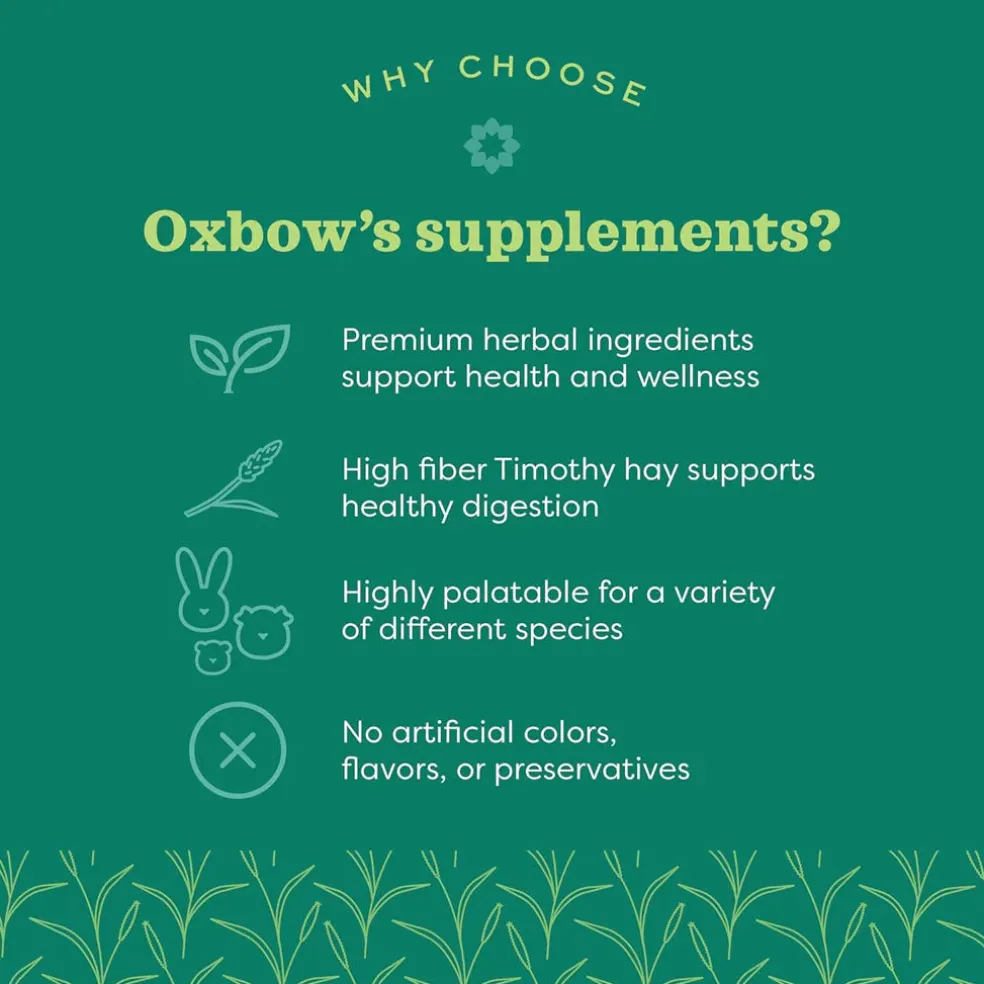 Oxbow Animal Health Natural Science - Digestive Support for Small Animals, 4.2-oz