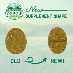 Oxbow Animal Health Natural Science - Digestive Support for Small Animals, 4.2-oz