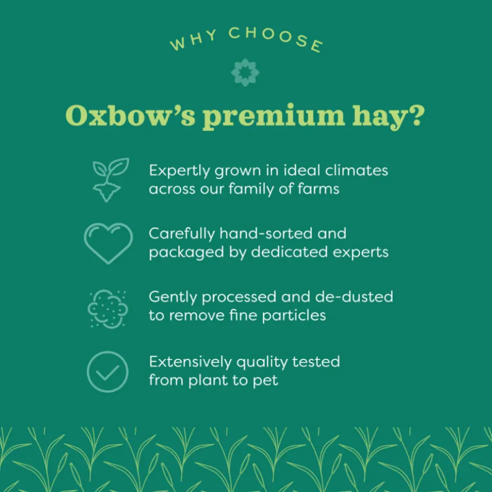 Oxbow Animal Health Oat Hay for Small Animals (15 oz)