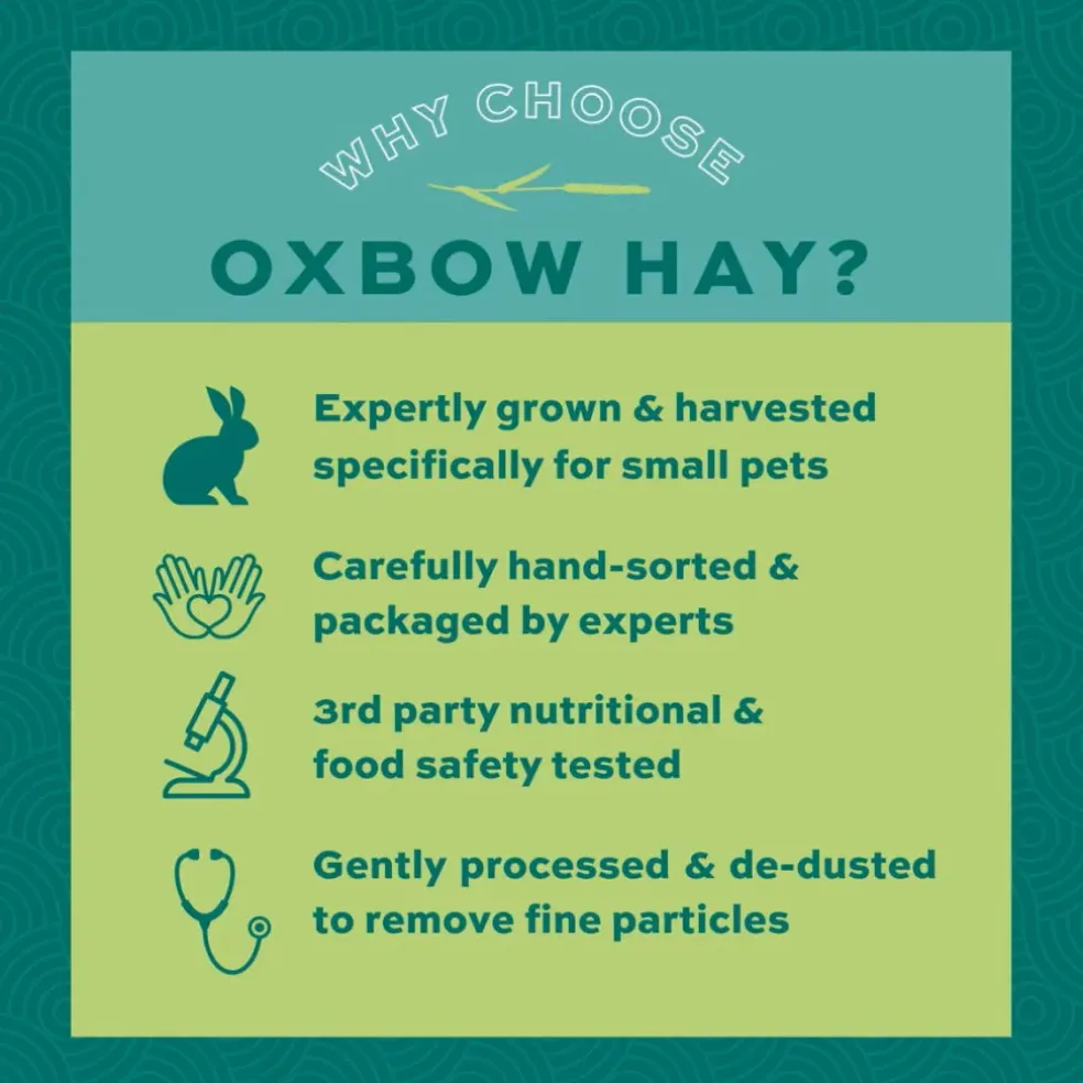 Oxbow Animal Health Orchard Grass Hay Food For Small Animals