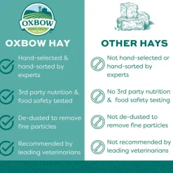 Oxbow Animal Health Orchard Grass Hay Food For Small Animals
