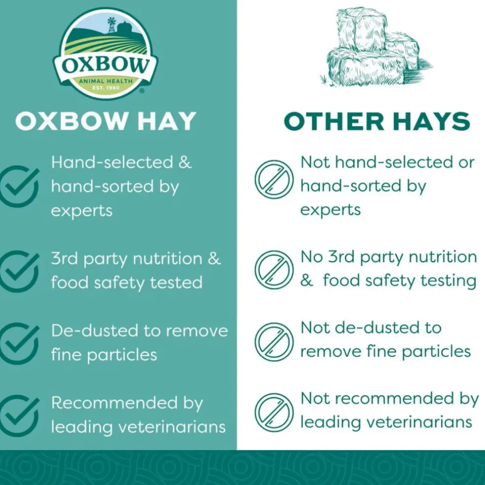 Oxbow Animal Health Orchard Grass Hay Food For Small Animals