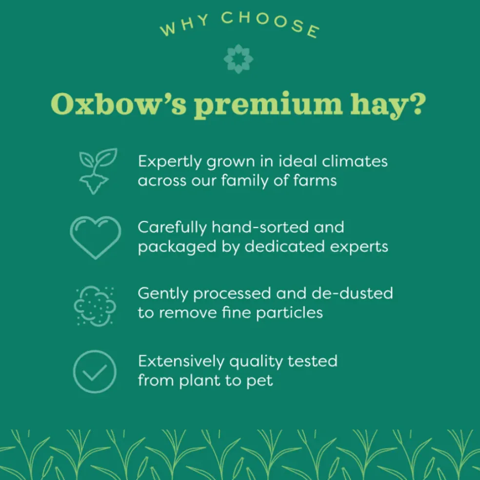 Oxbow Animal Health Organic Meadow Hay