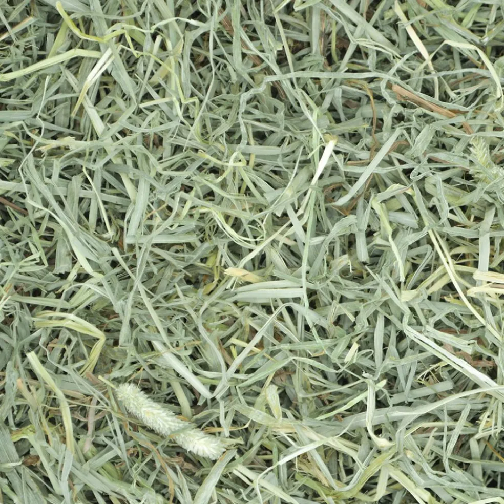 Oxbow Animal Health Prime Cut Soft & Lush Timothy Hay
