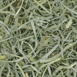 Oxbow Animal Health Prime Cut Hearty & Crunchy Timothy Hay