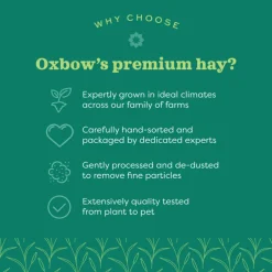 Oxbow Animal Health Western Timothy Hay