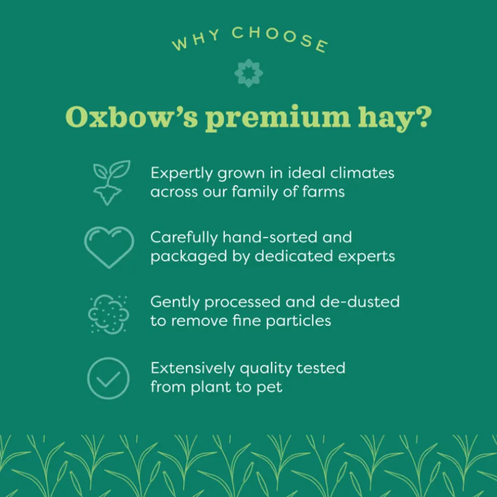 Oxbow Animal Health Western Timothy Hay