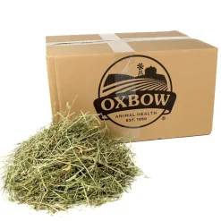 Oxbow Animal Health Western Timothy Hay