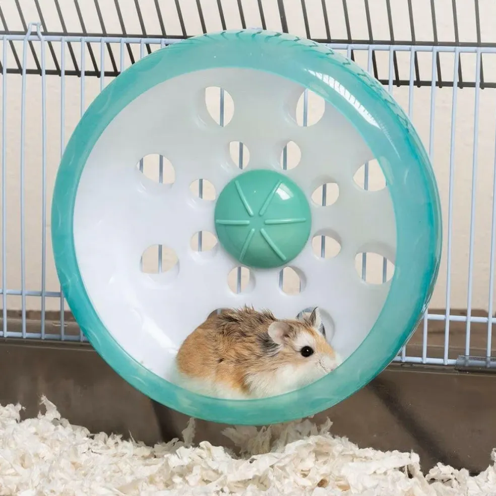Oxbow Enriched Life Attachable Quiet Wheel Toy For Small Animal
