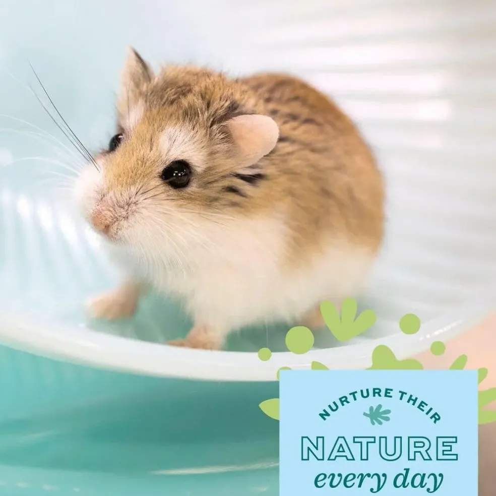 Oxbow Enriched Life Attachable Quiet Wheel Toy For Small Animal