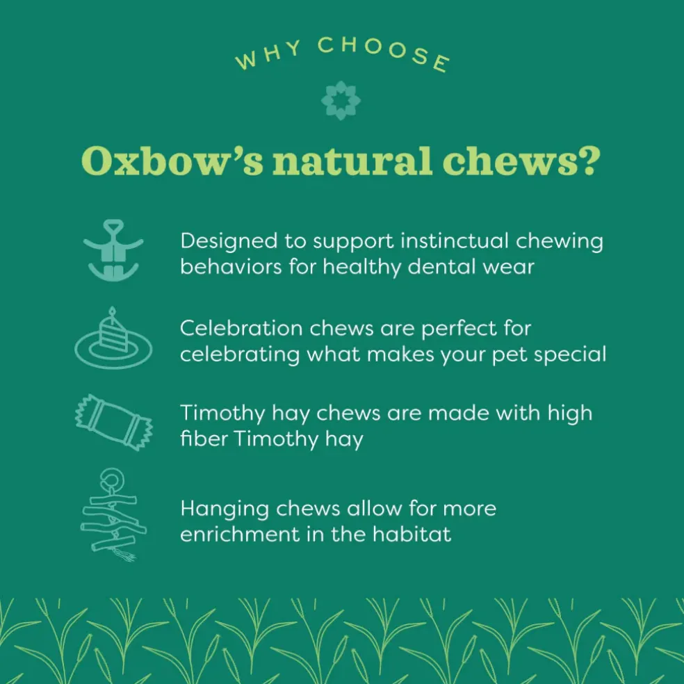 Oxbow Enriched Life Celebration Heart Small Animal Chew Toy