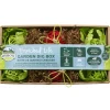 Oxbow Enriched Life Garden Dig Box Small Animal Toy