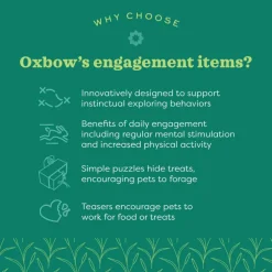 Oxbow Enriched Life Garden Dig Box Small Animal Toy