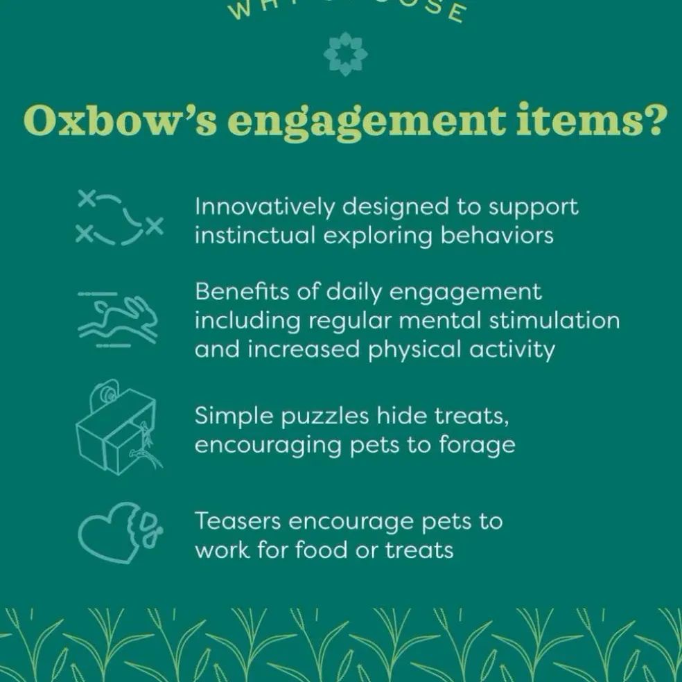 Oxbow Enriched Life Garden Forage Puzzle Toy For Small Animal