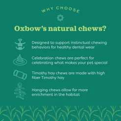 Oxbow Enriched Life Natural Dangly Party Pack Small Pet Toys