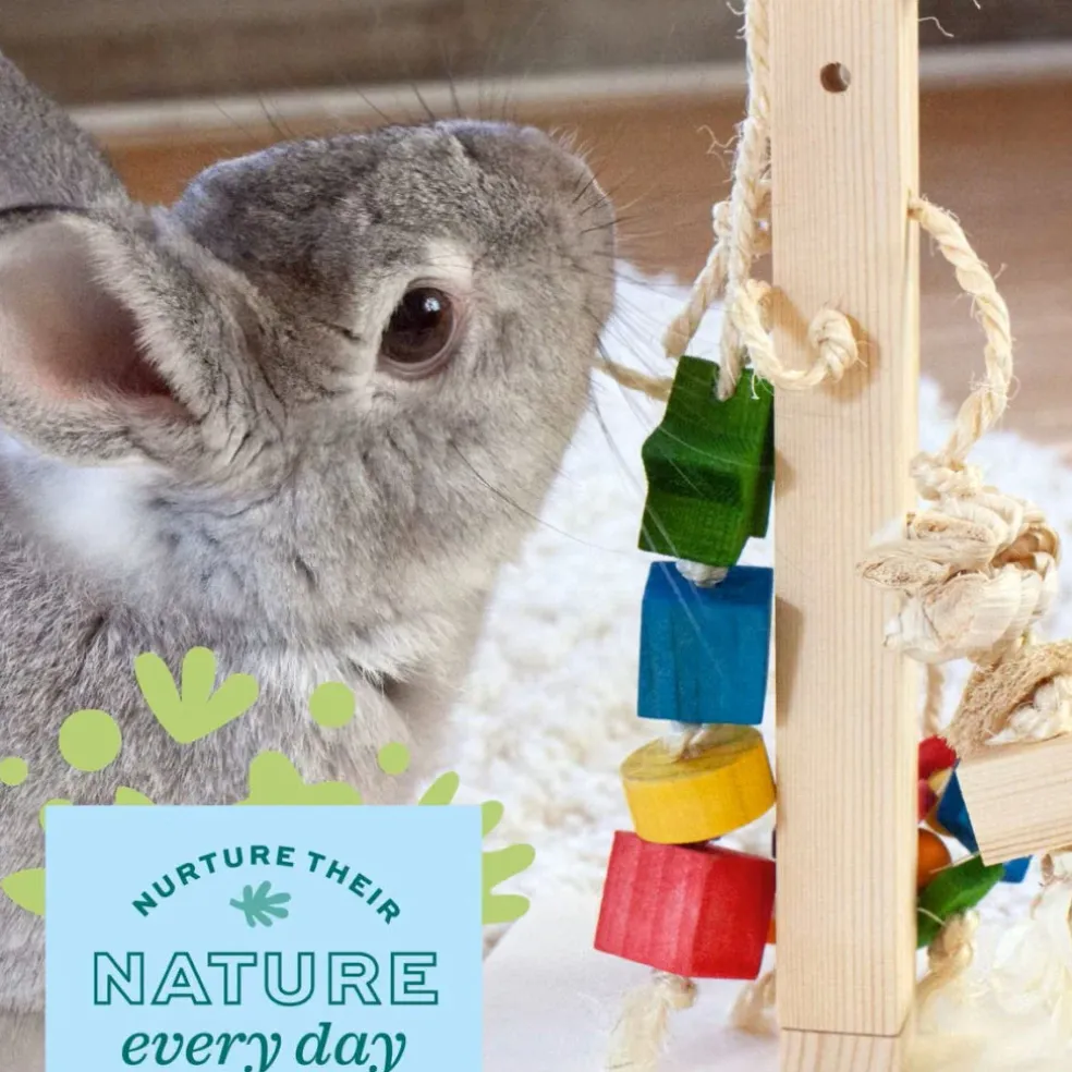 Oxbow Enriched Life Play Post Small Animal Toy
