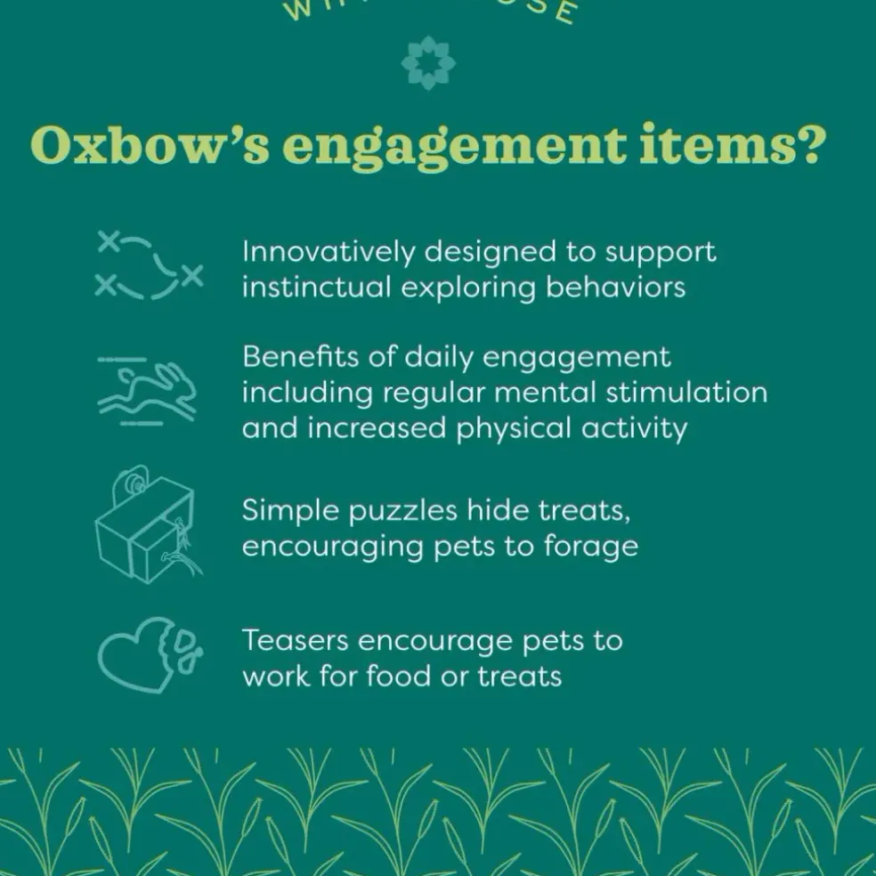 Oxbow Enriched Life Play Post Small Animal Toy