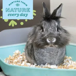 Oxbow Enriched Life Rectangle Litter Pan with Removable Shield For Small Animals