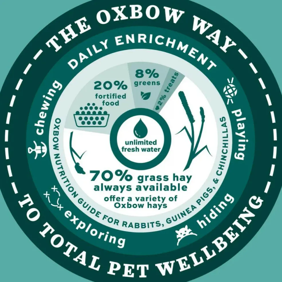 Oxbow Enriched Life Rectangle Litter Pan with Removable Shield For Small Animals