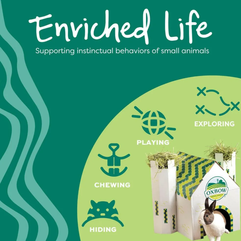 Oxbow Enriched Life Run Around Ball Toy For Small Animals